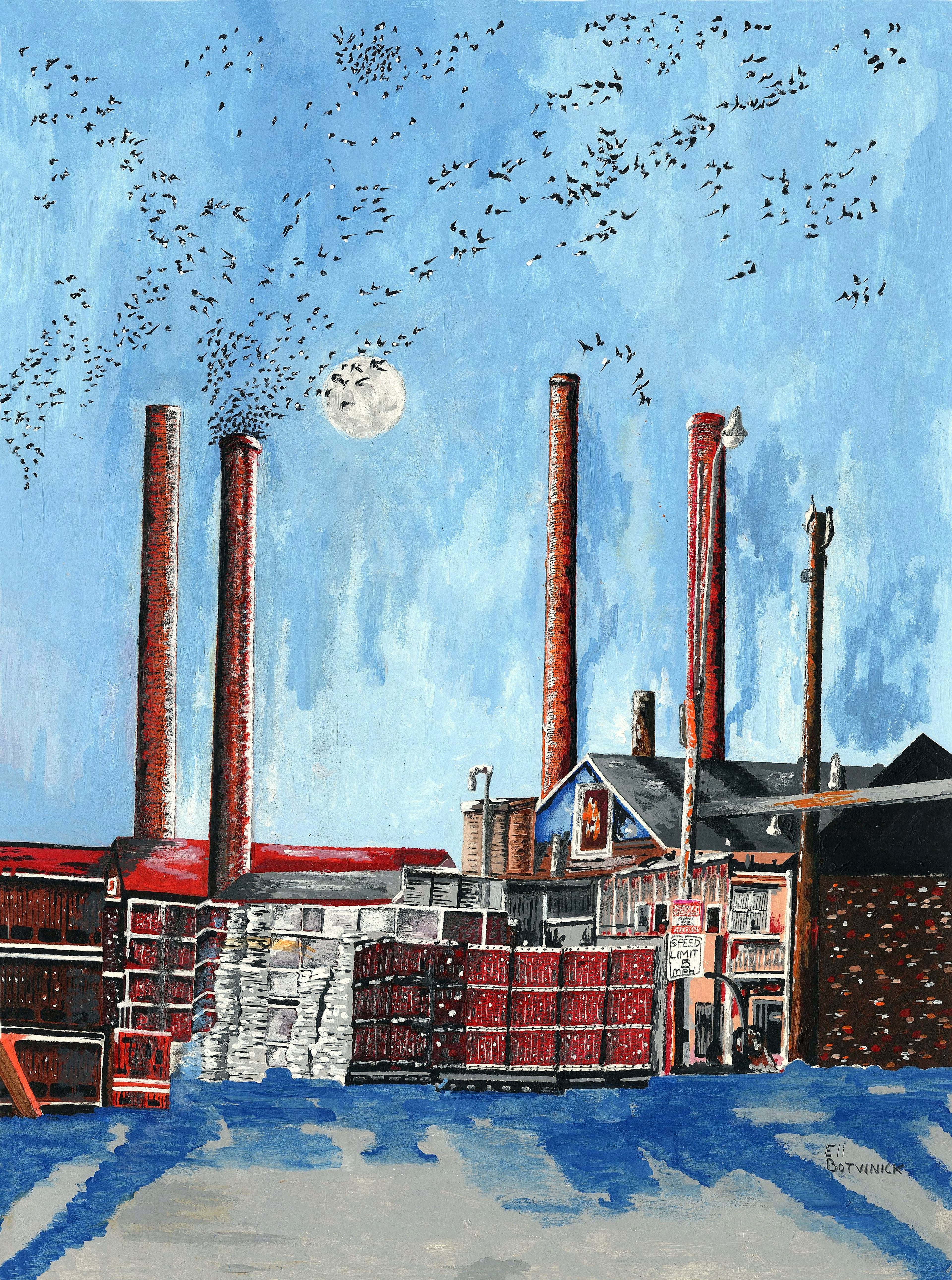 Swallows at Brick Factory